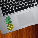 Pineapple computer sticker