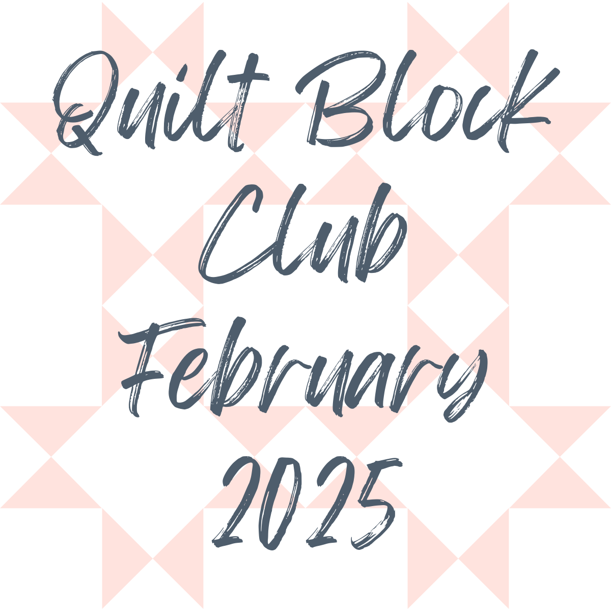 February 2025 Quilt Block Club Recap